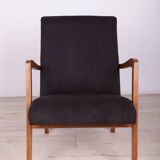 Type 300-138 Beech Armchairs from Bystrzyckie Furniture Factory, 1960s, Set of 2