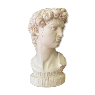 Plaster head of David bust