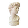 Plaster head of David bust