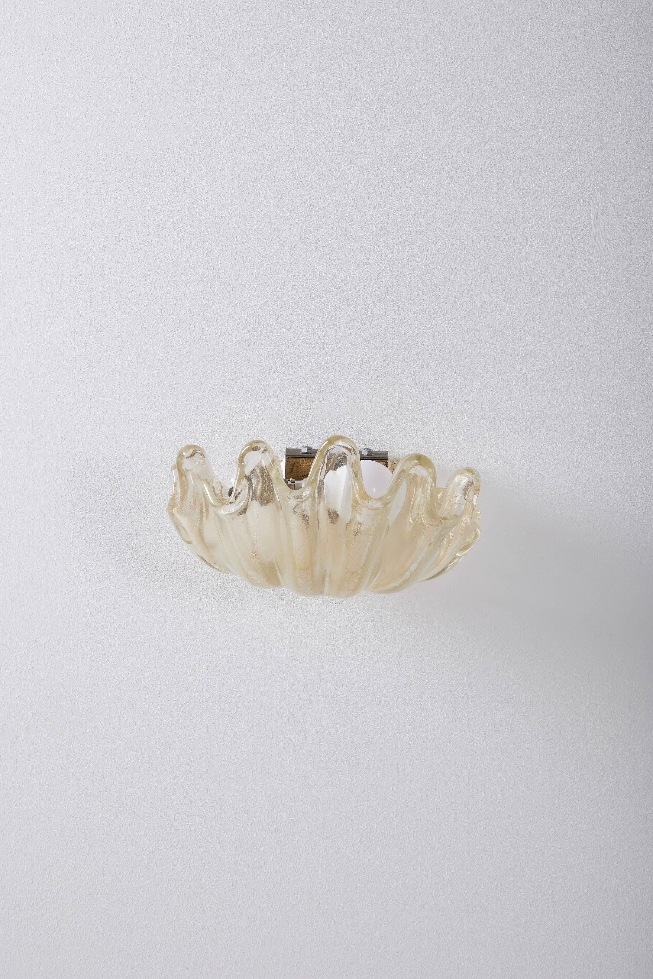 Barovier & Toso glass shell wall lamp