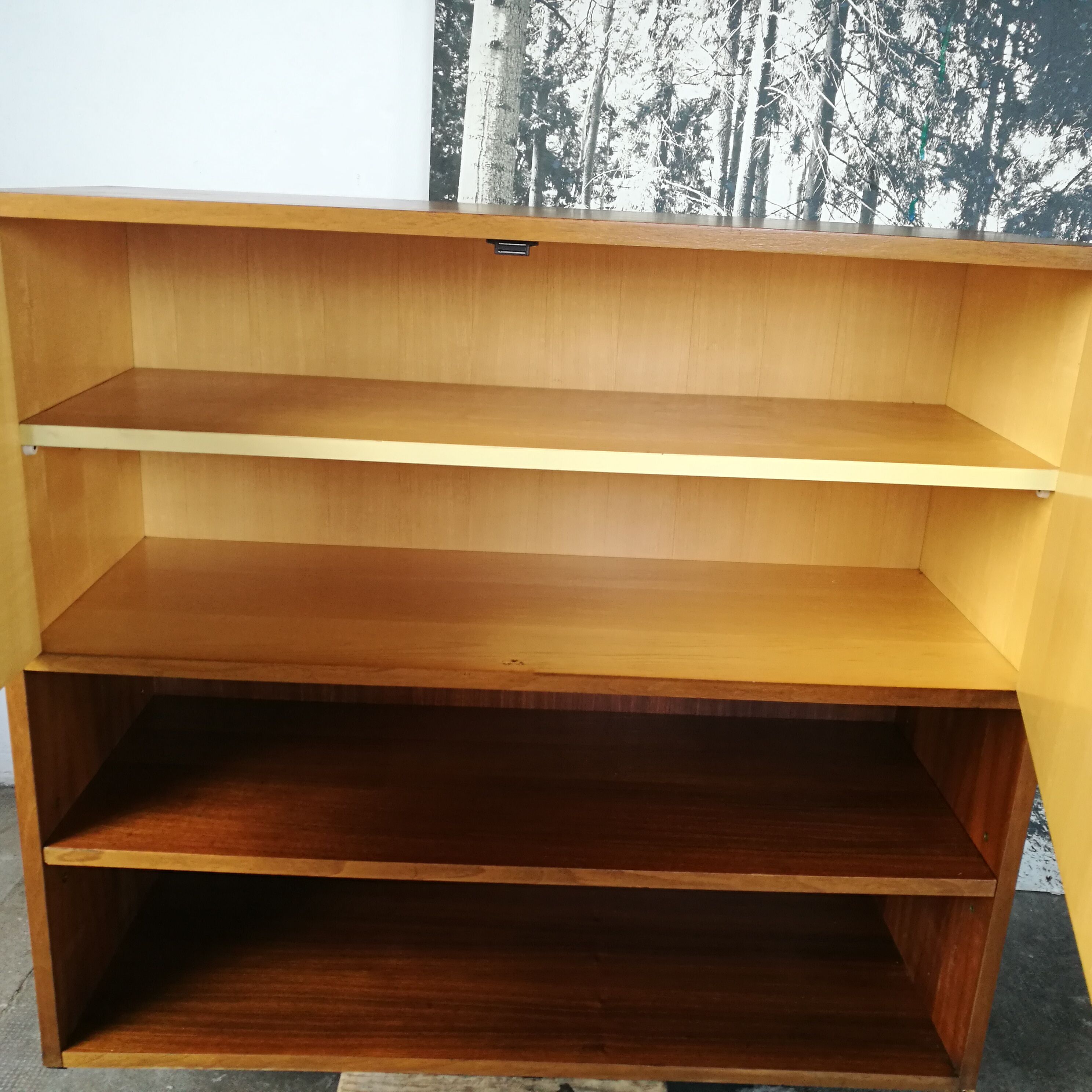Shelf, mid century library