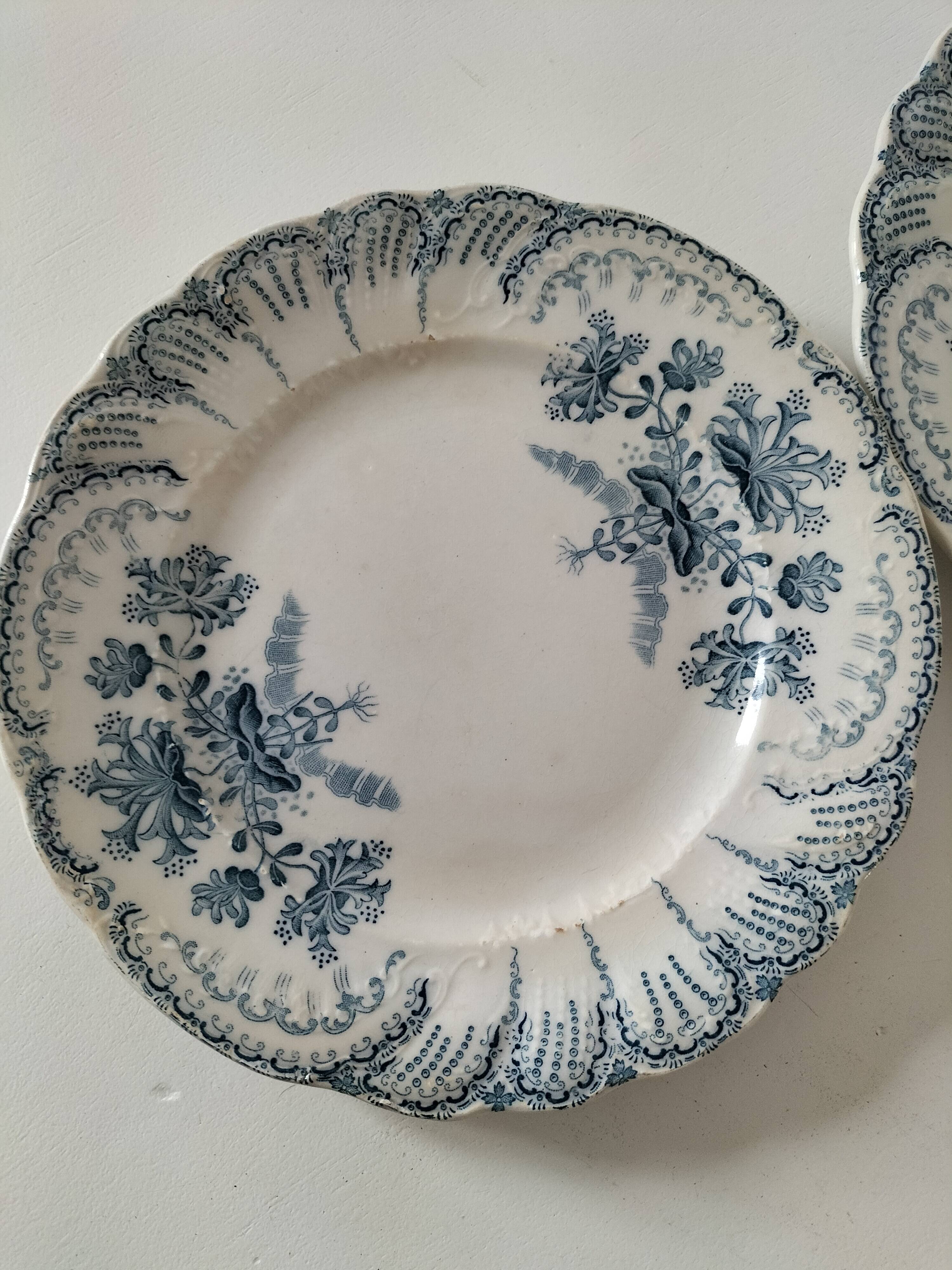 Two ironstone plates Saint-Amand Regency model