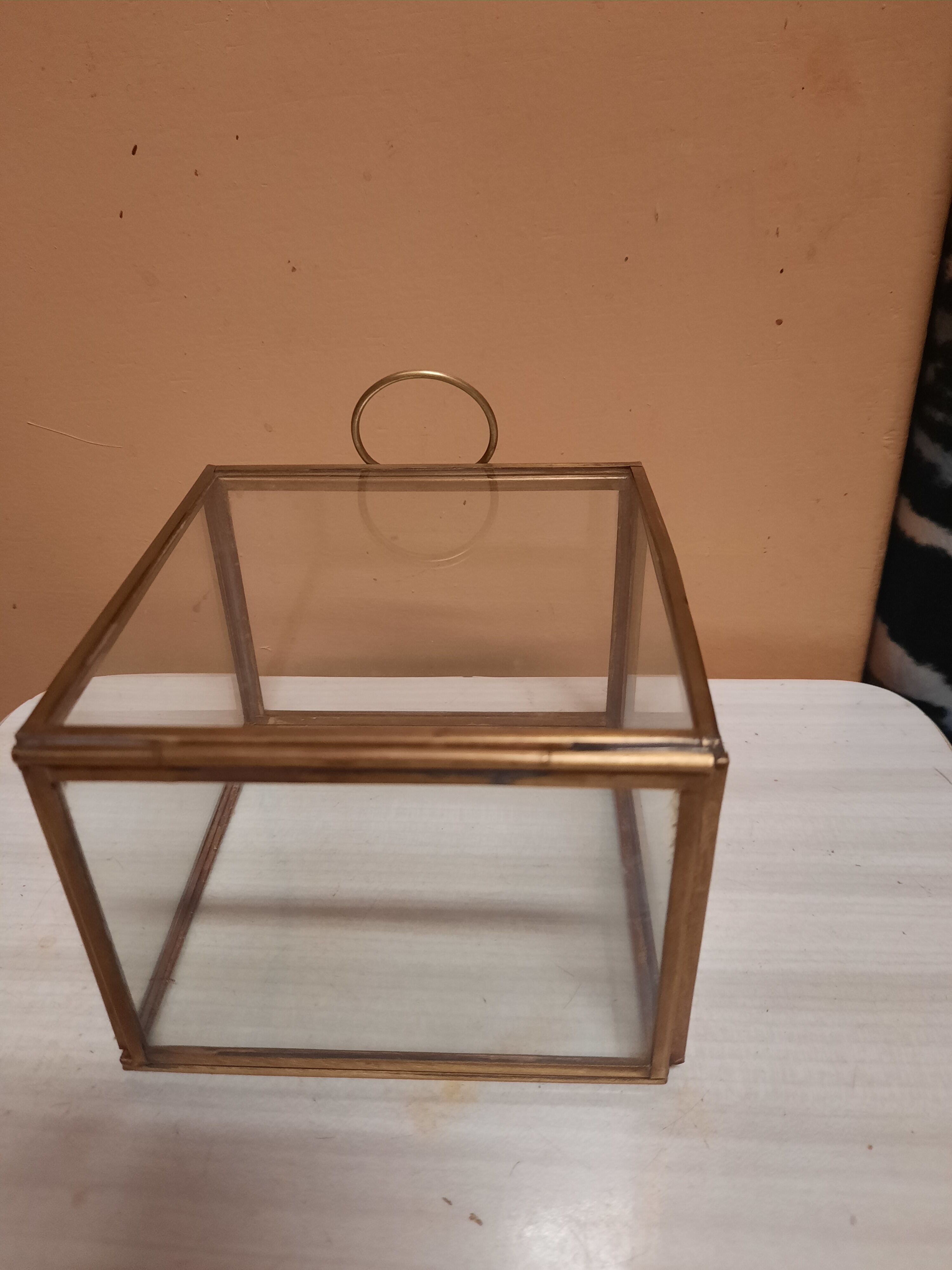 Glass and brass showcase box
