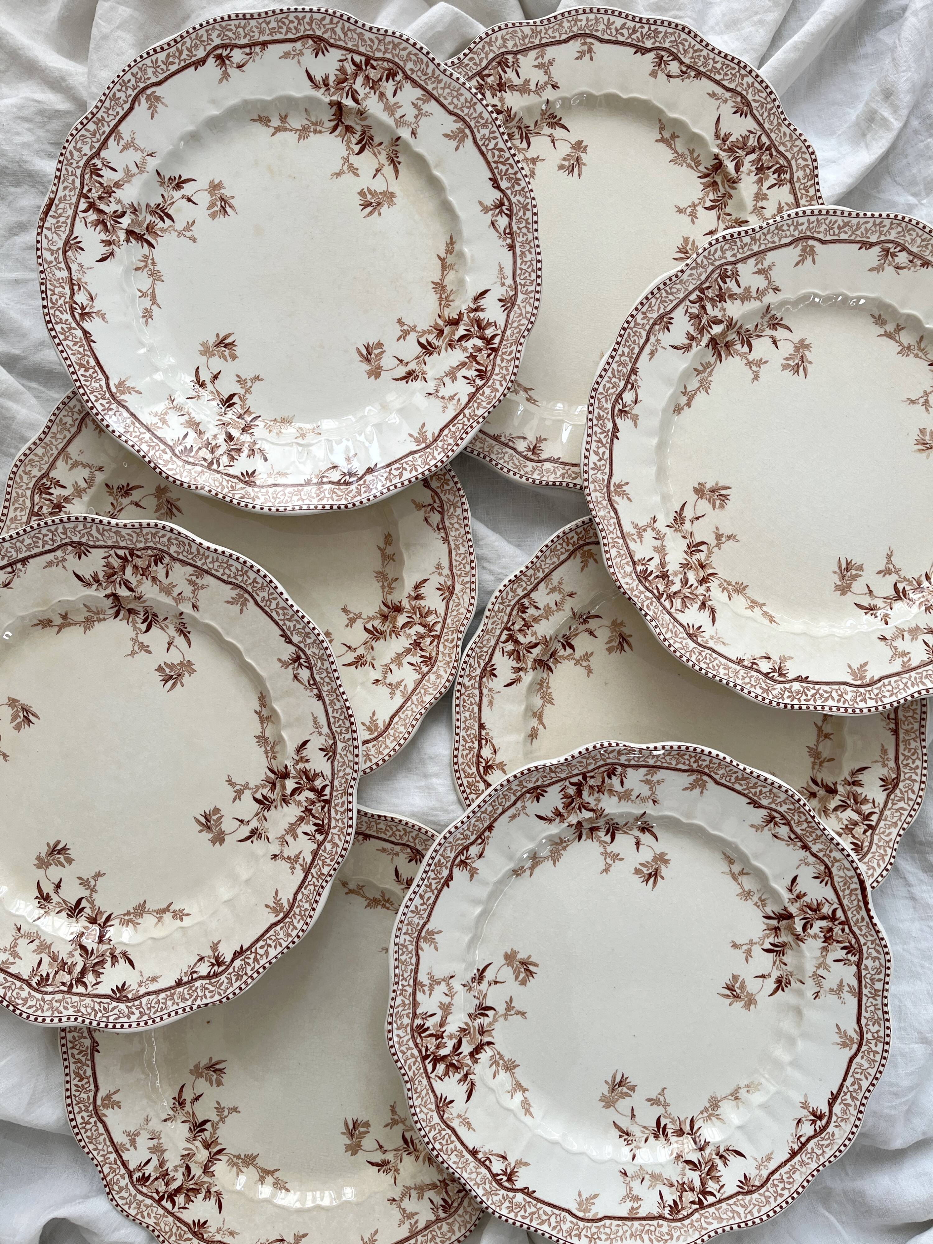 8 Ridgways England Royal Semi Porcelain "Eton" Ironstone Dinner Plates