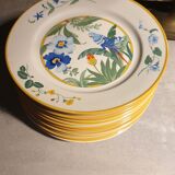 11 piert import plates