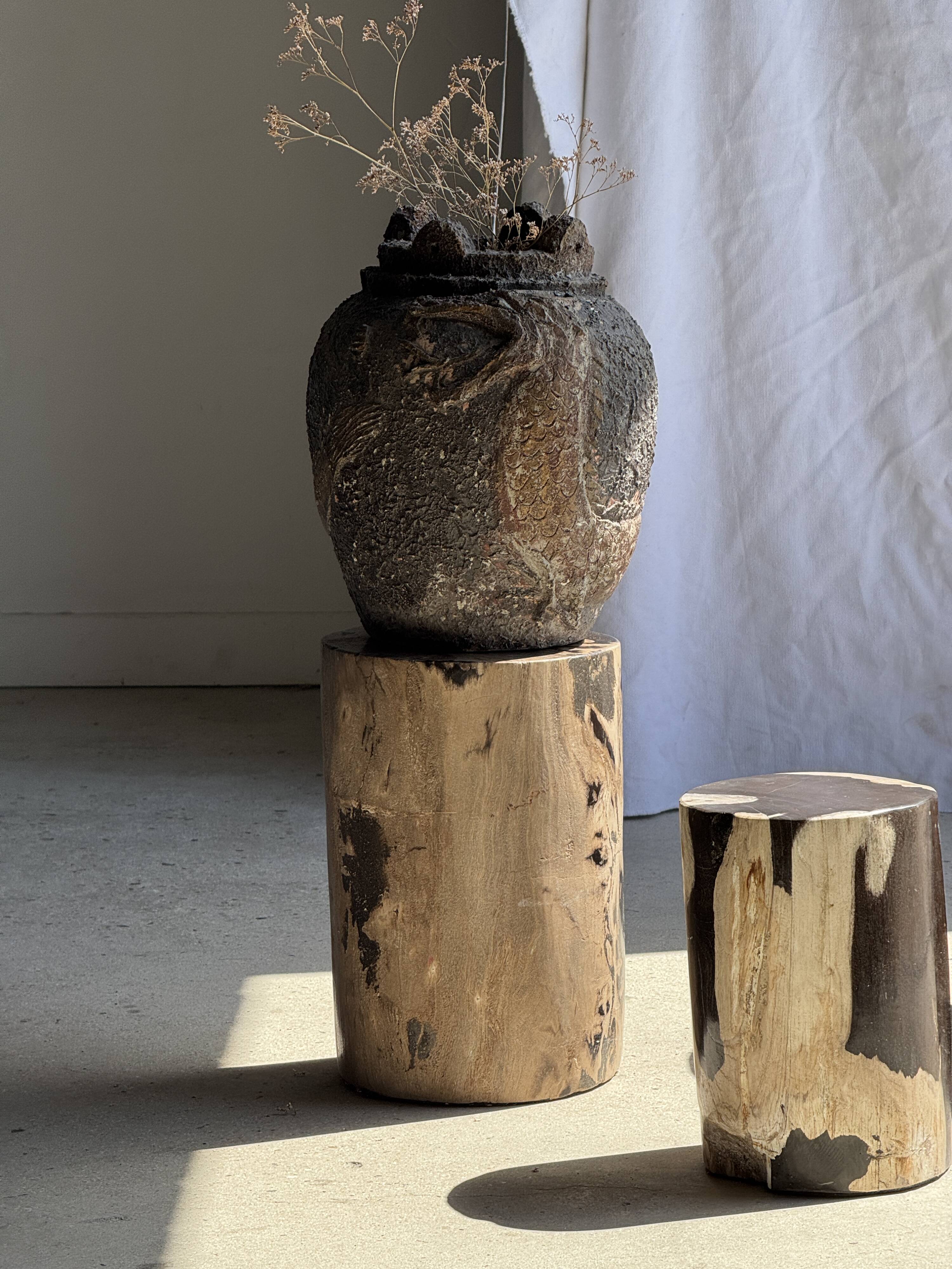 Brown and black petrified wood side table H35 D27 - 3333
