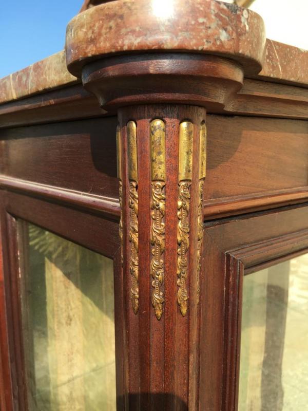 Mahogany Showcase - Bronze Golden Style Louis XVI