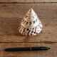 Trochus shell