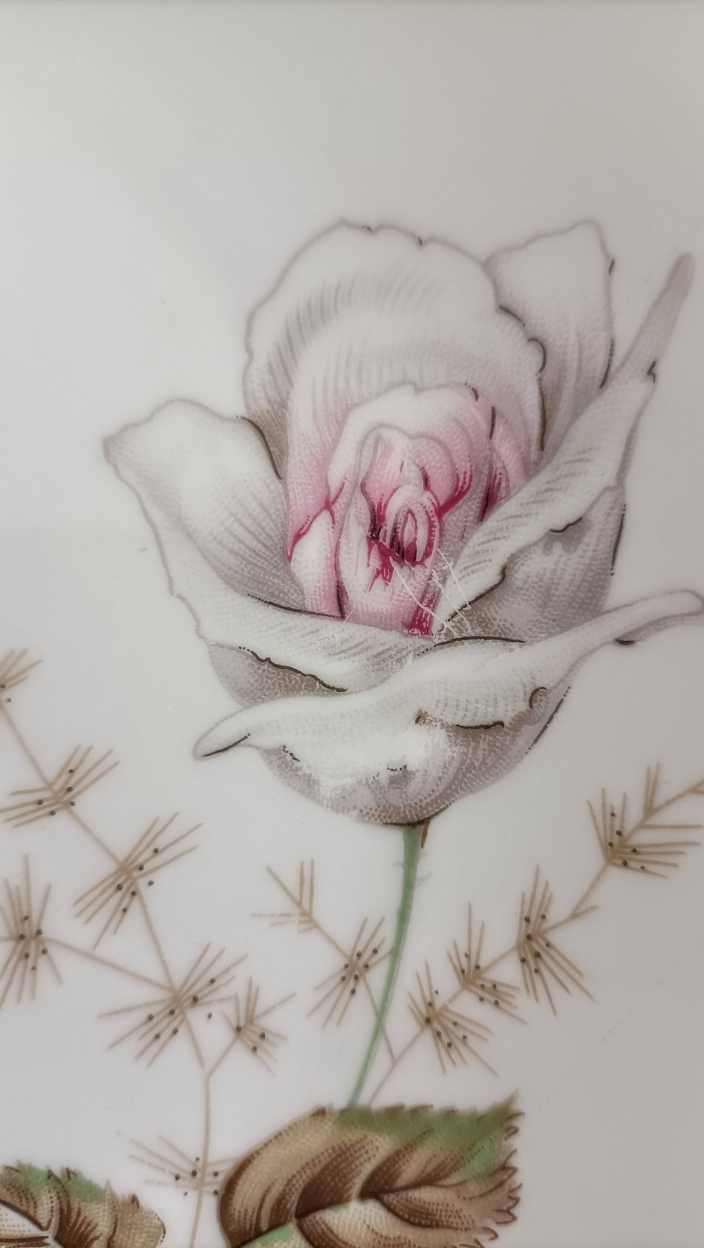 Service à dessert 10 assiettes et plat en porcelaine PMR Bavaria Jaeger & Co