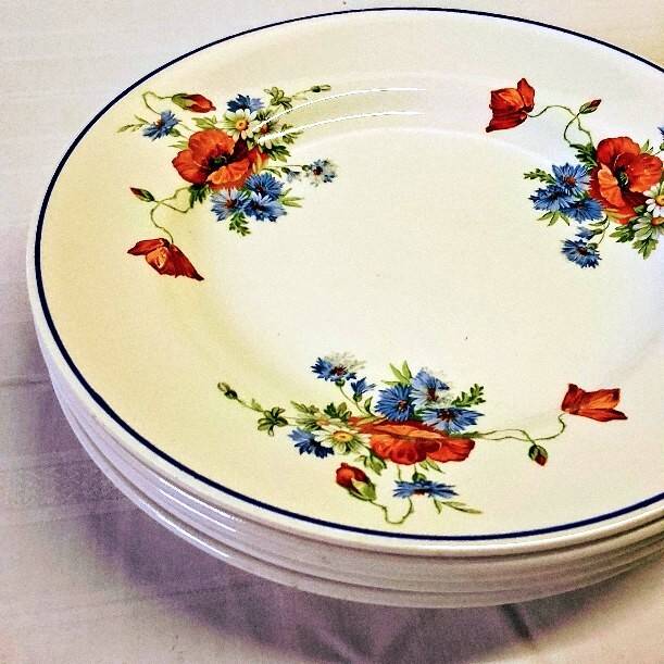 6 flat plates from Salins les Bains, "Poppies" pattern, in very good condition