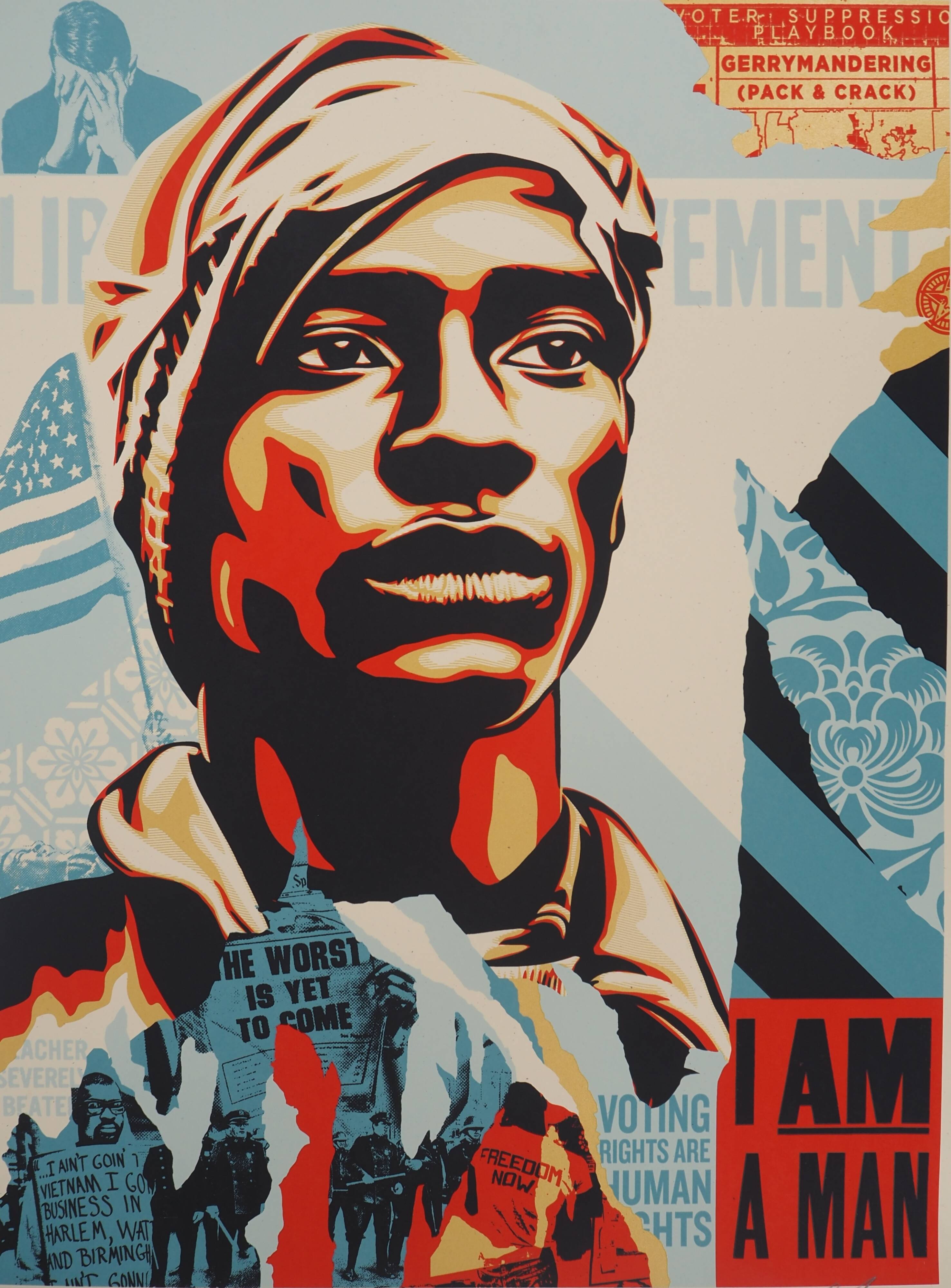 Shepard Fairey (Obey Giant): Voting Rights Are Human Rights - Signed lithograph