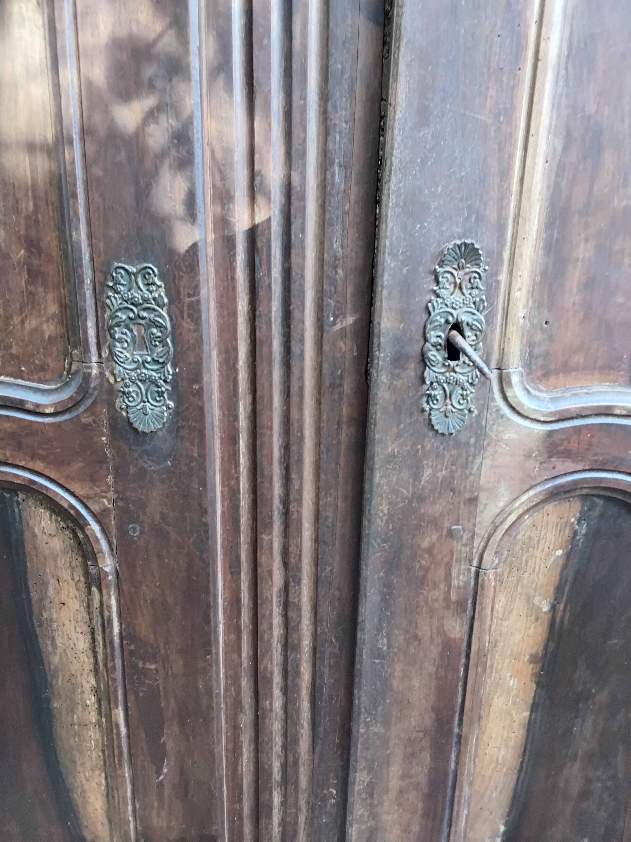 Pair of antique doors in 18th-century Louis XV style.