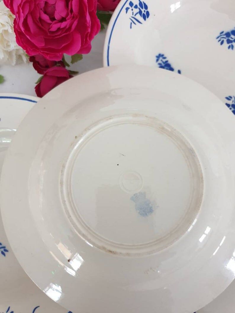 5 assiettes creuses anciennes modèle floral de la manufacture française de Badonviller