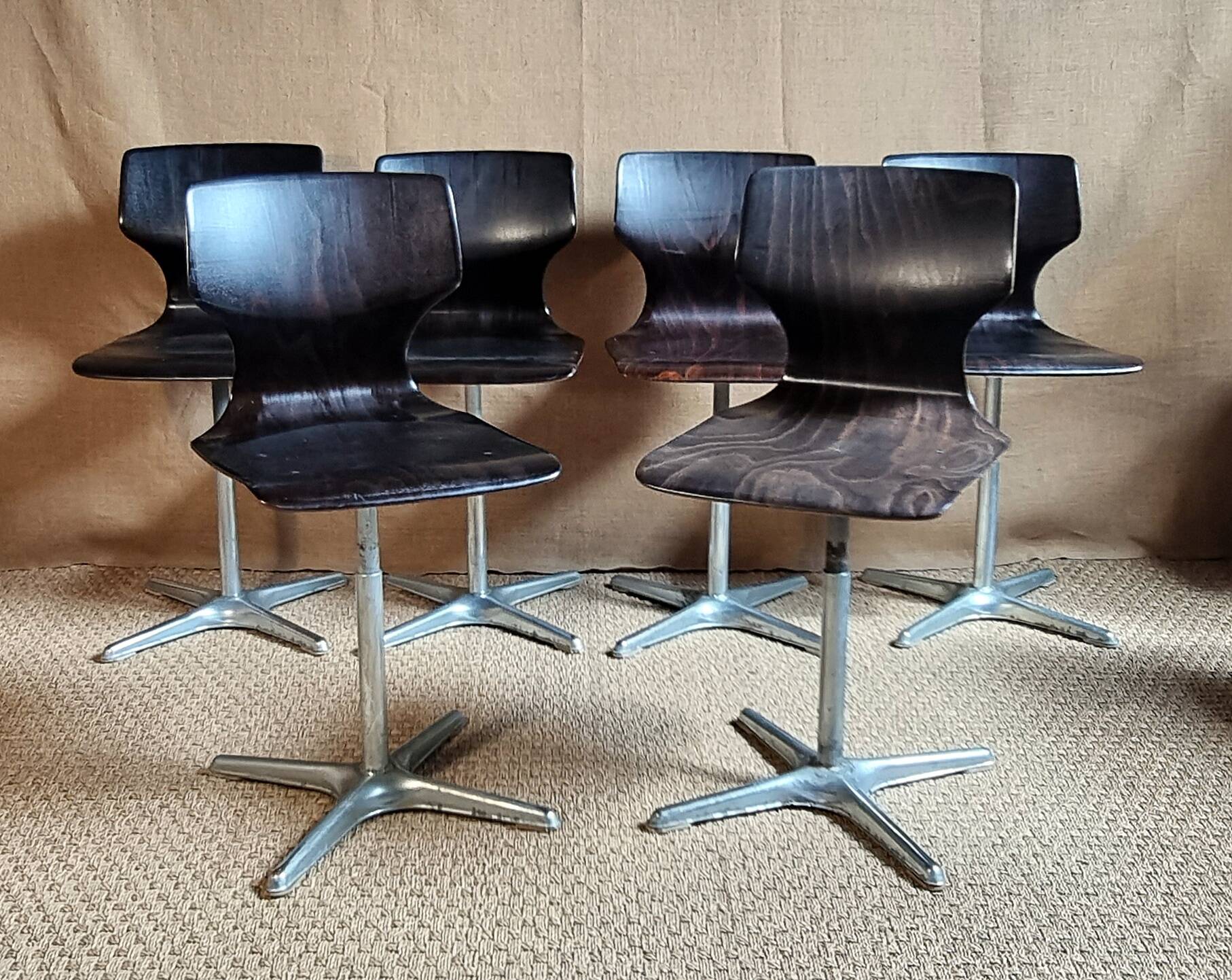 6 Pagwood Pagholz Flototo chairs from the 70s