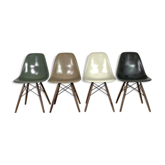 Set of 4 DSW side chairs designed by Charles Eames and made by Herman Miller