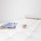 Barcelona daybed by Ludwig Mies van der Rohe fro Knoll, 1980s