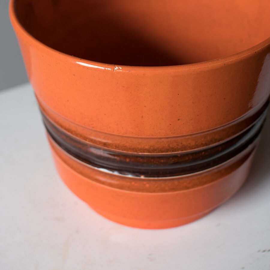 Orange planting