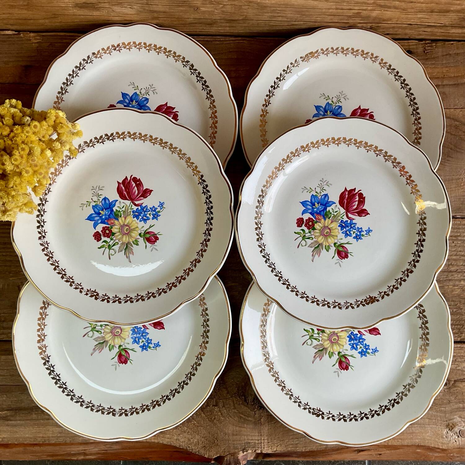 6 Sarreguemines plates