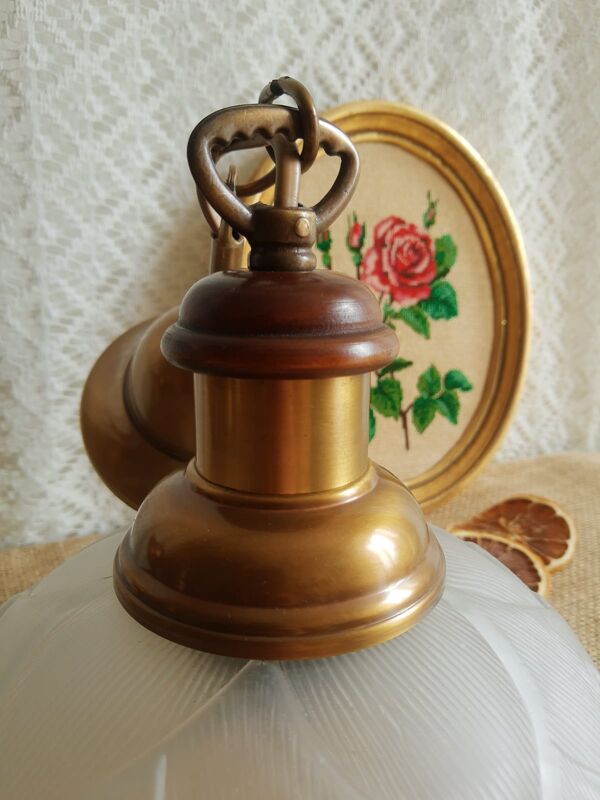 Paire de suspensions verre dépoli fleurs bois laiton vintage