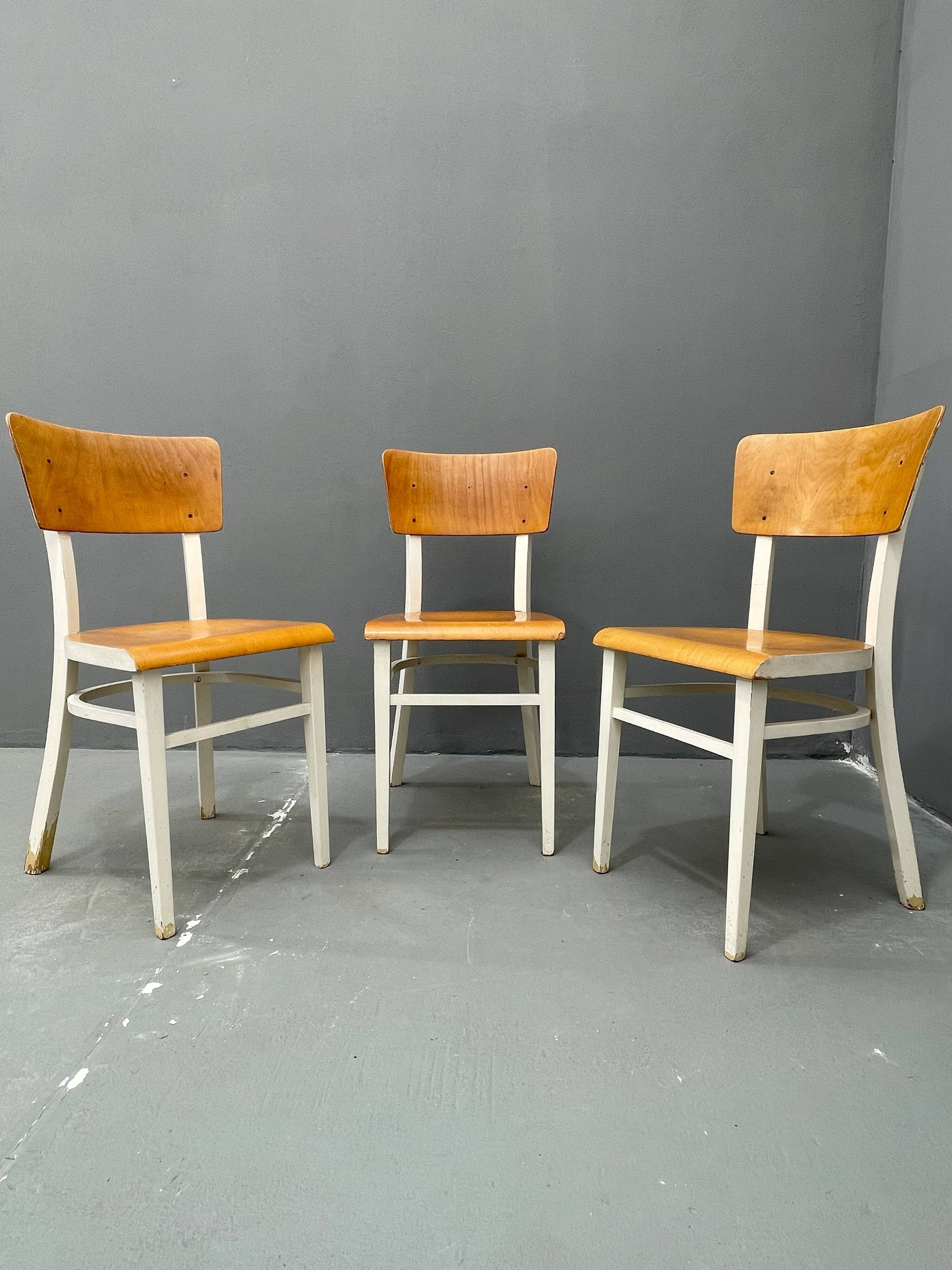3 chaises en bois, Tchécoslovaquie années 1950