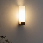 Scandinavian wall light in teak and opaline glass by Louis Kalff for Philips, 1968