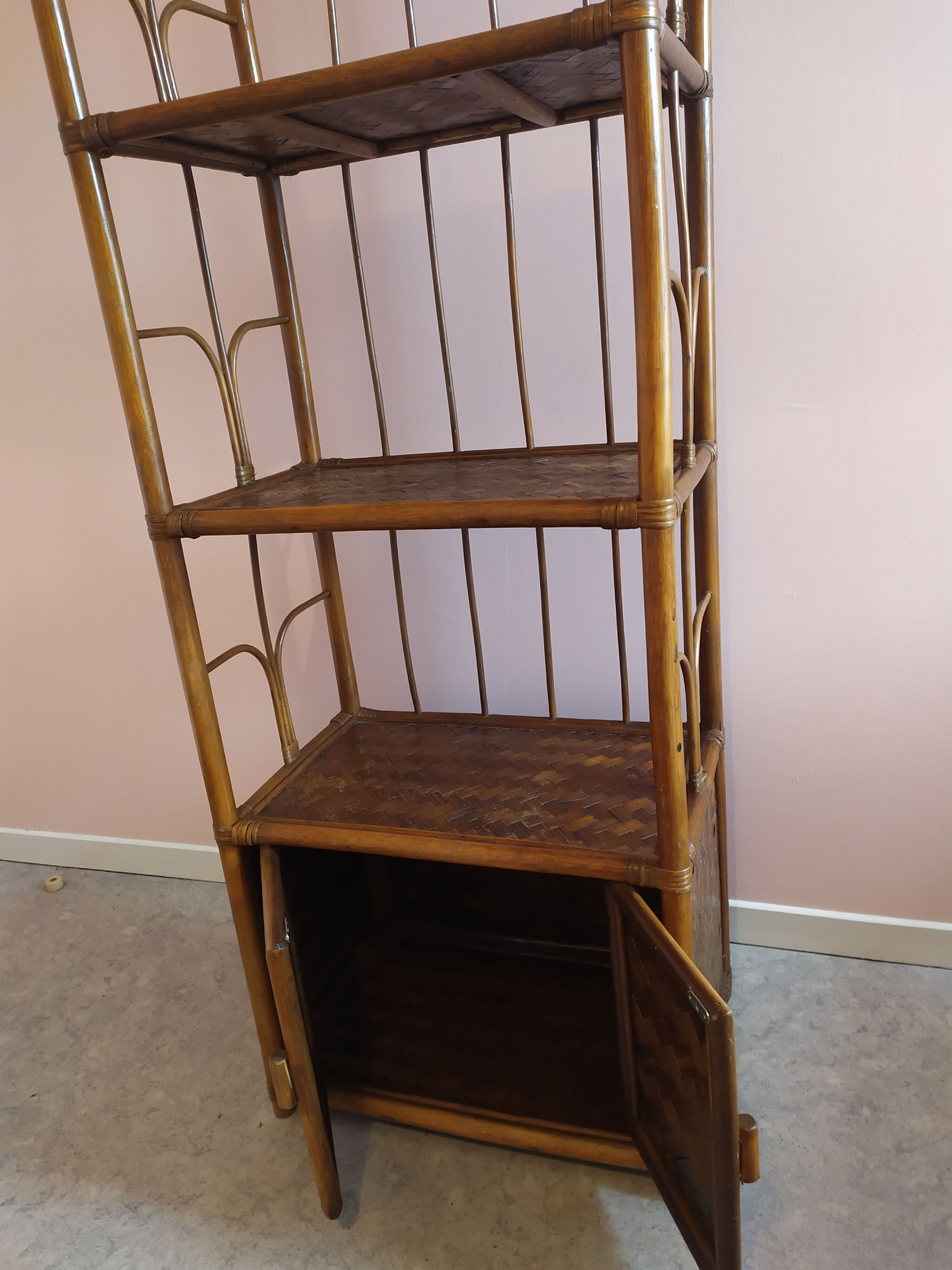 Rattan and bamboo library