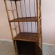 Rattan and bamboo library