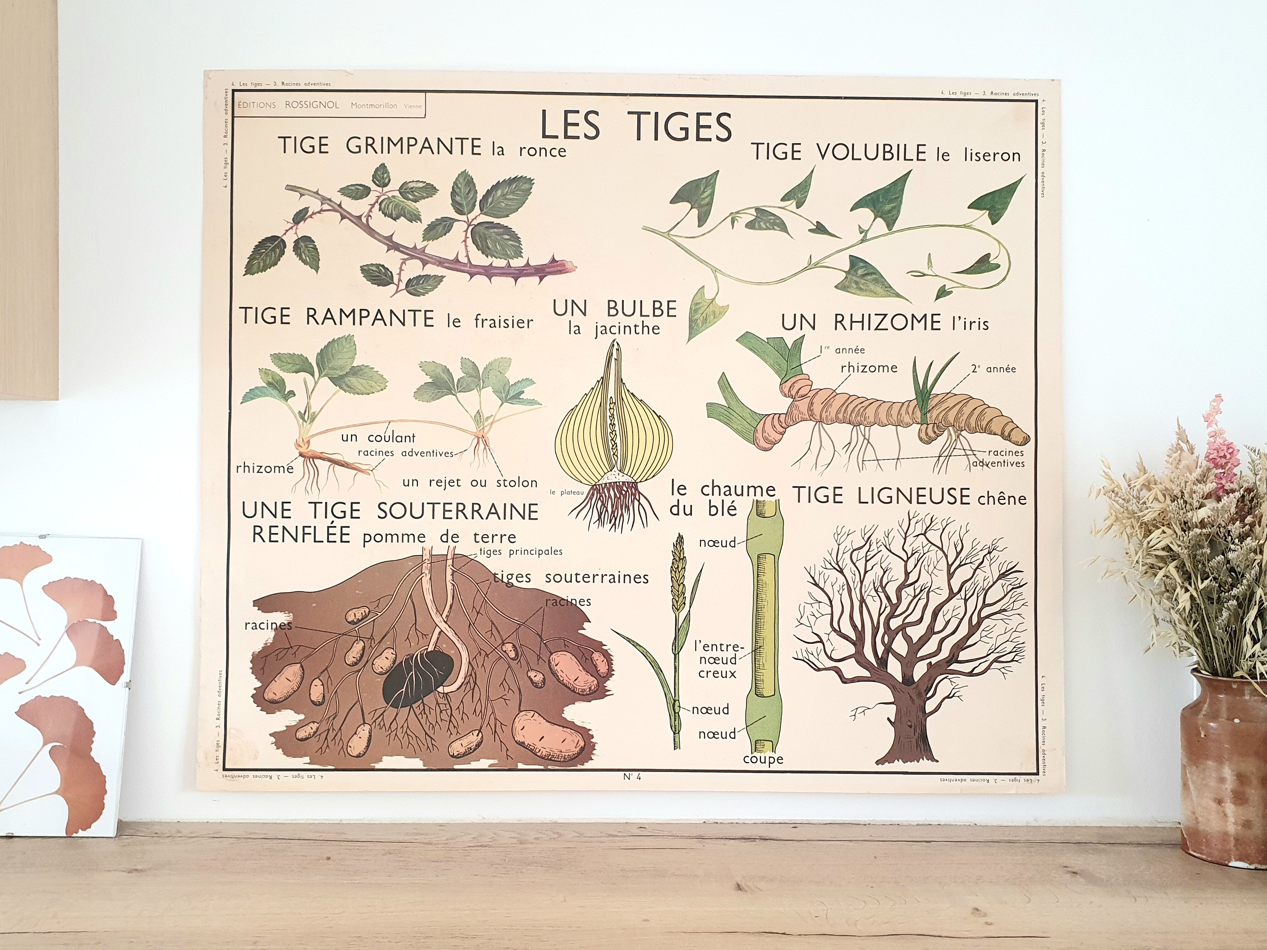 Rossignol school poster