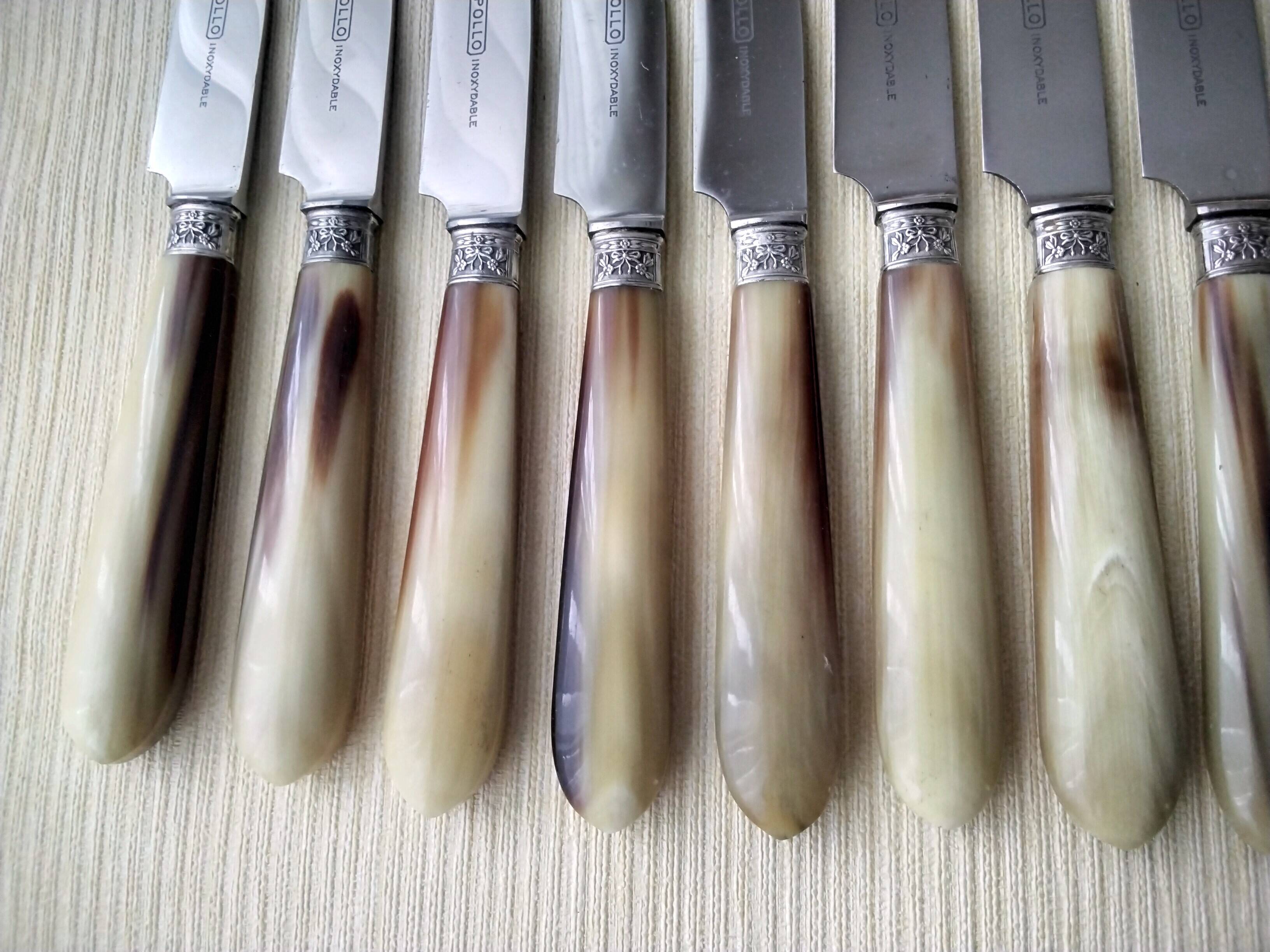 12 Apollo table knives in stainless steel and bovine horn
