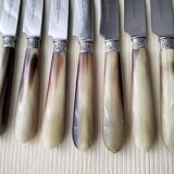 12 Apollo table knives in stainless steel and bovine horn