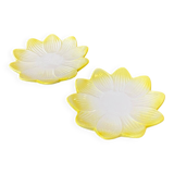 Set of 2 flower plates