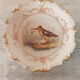 Assiette porcelaine décor chasse