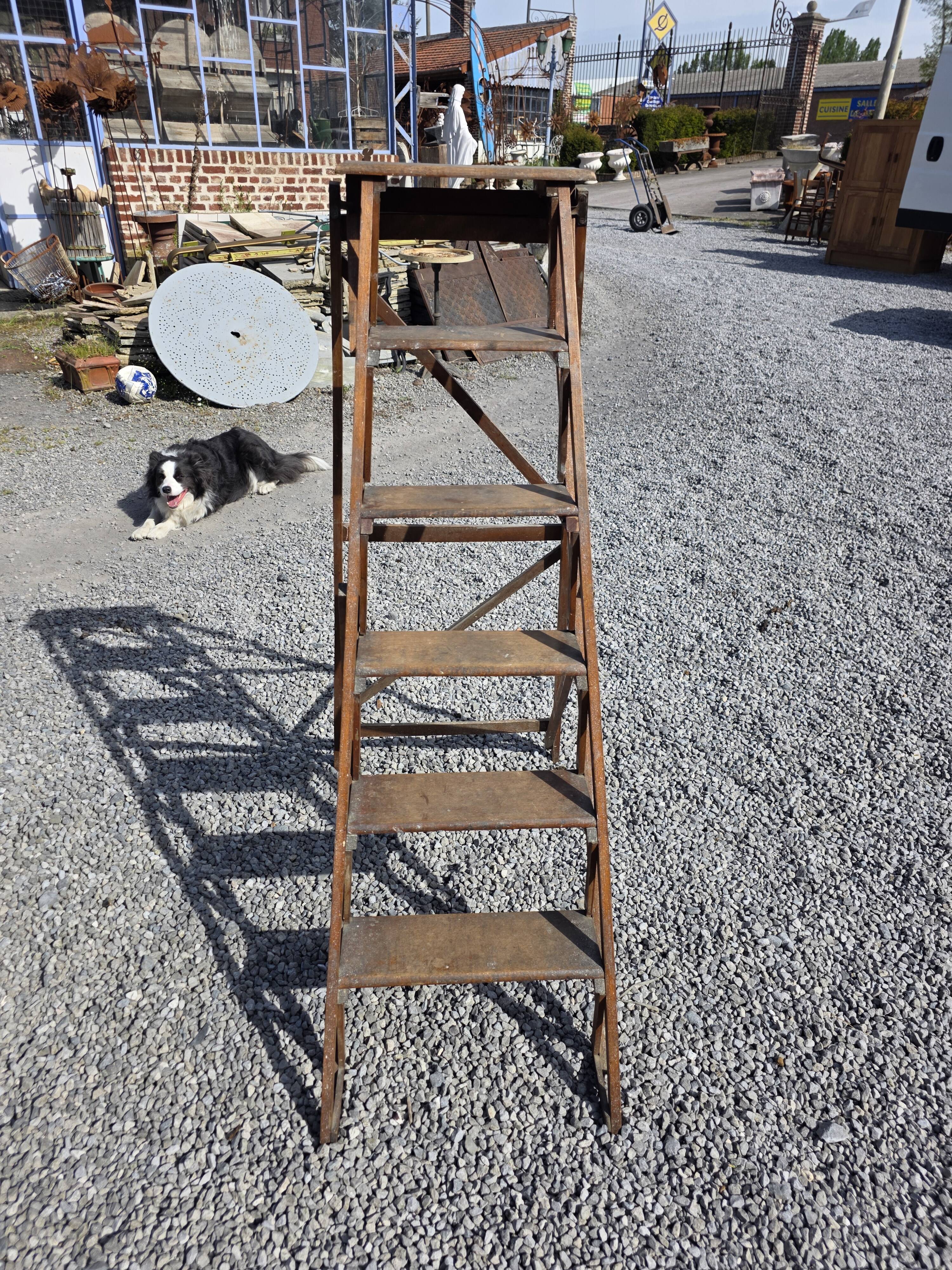 Old wooden step ladder with 6 steps