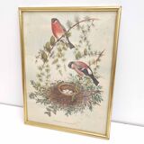 Golden frame illustration nest couple of birds