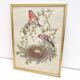 Cadre doré illustration nid couple d'oiseaux