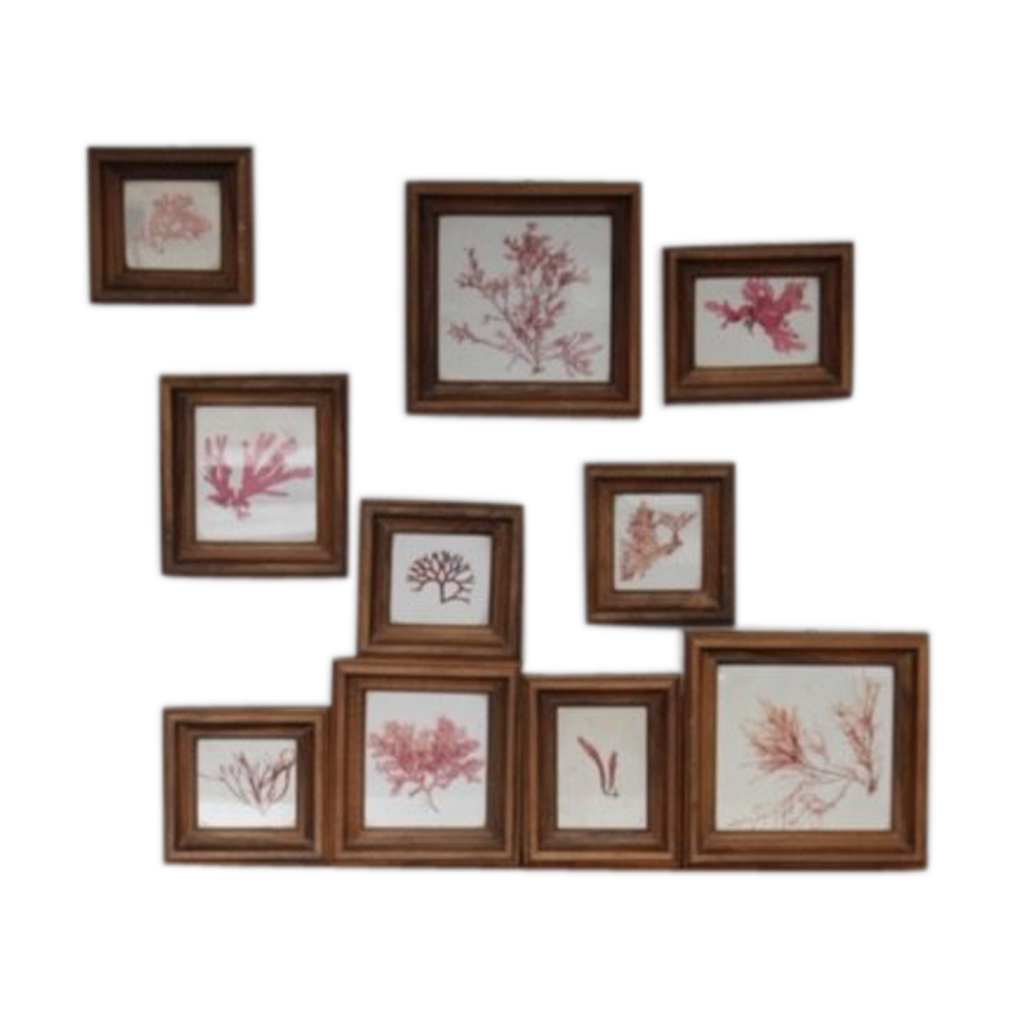 True alguier in walnut frame France 1960