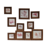 True alguier in walnut frame France 1960