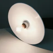 Antique wall light with a swan neck in enamelled metal, porcelain, and brass.