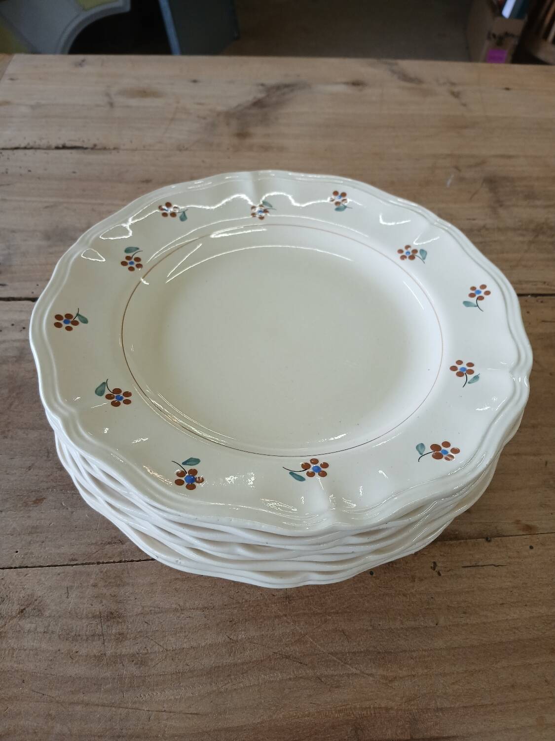 9 old flat plates Digoin Sarreguemines
