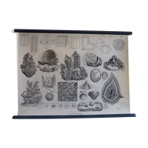 Plank of minerals, cut stones, geology, numero PL. II, on linen canvas, ancient