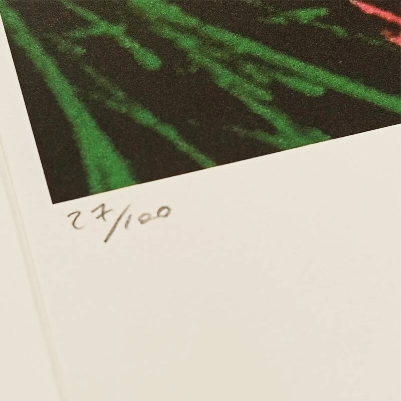 1980s Andy Warhol "Flowers" Limited Series Lithograph - Leo Castelli - New