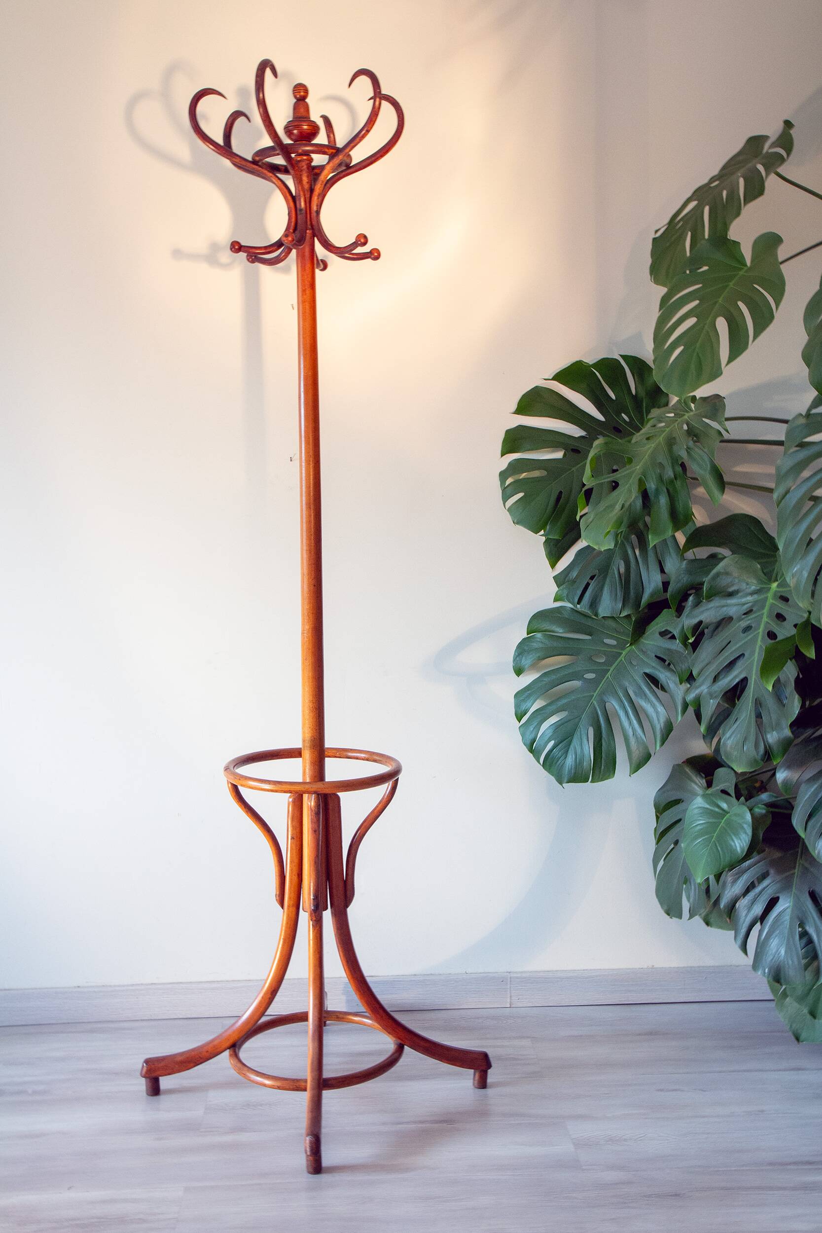 Bistro parrot early 20th century