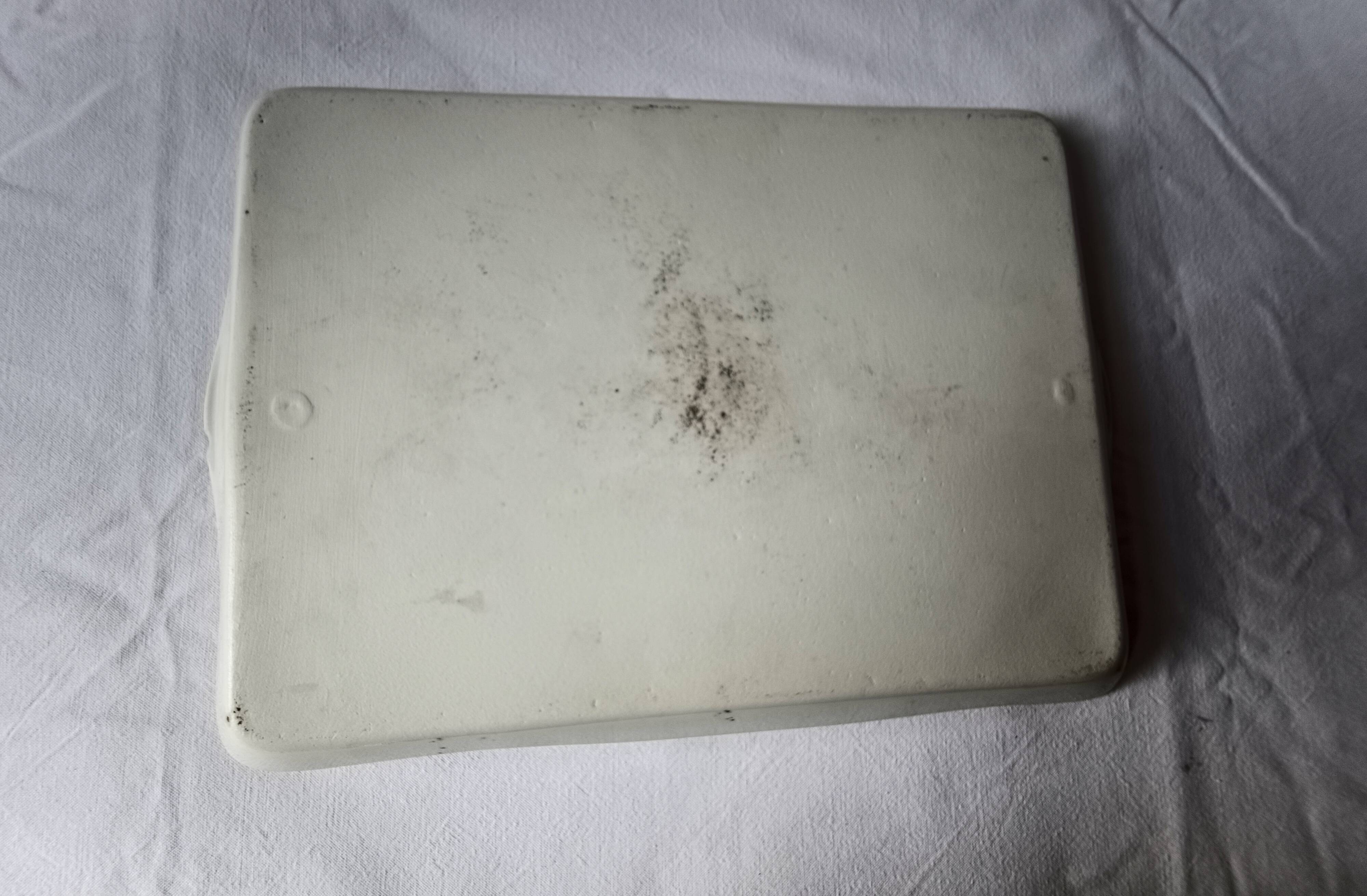 Limoges porcelain tray with floral bouquet motifs, early 20th century