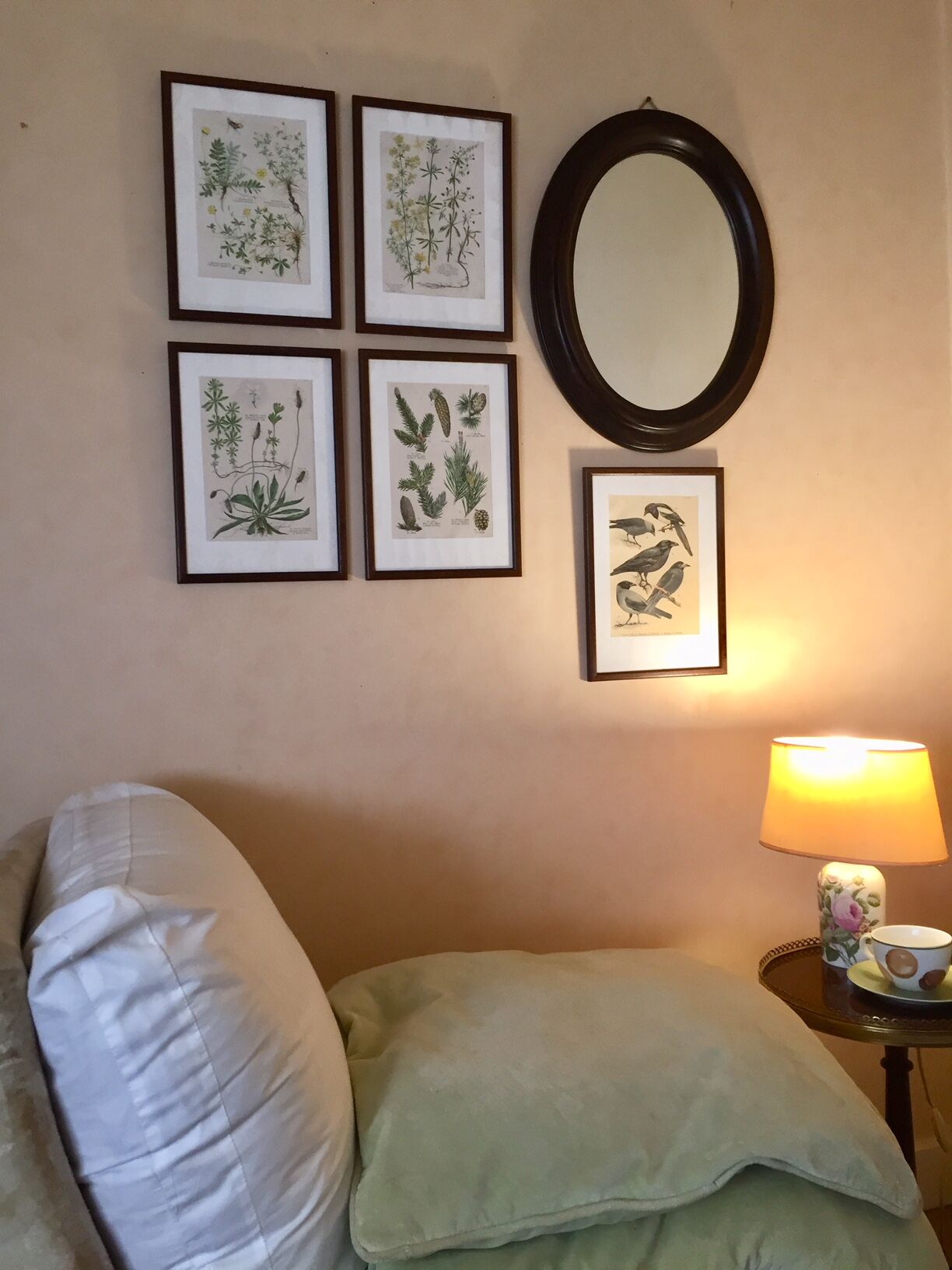 Set of 4 framed botanical posters