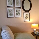 Set of 4 framed botanical posters