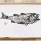 Framed art print, "Print of a bar" (gyotaku)