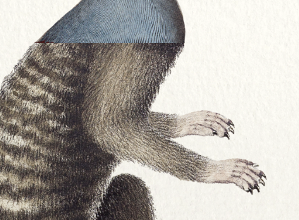 Chimera lithograph engraving animal - the marmoset