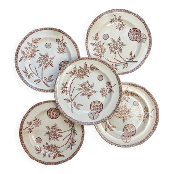 5 large old plates in brown ironstone - Grand Dépôt Paris