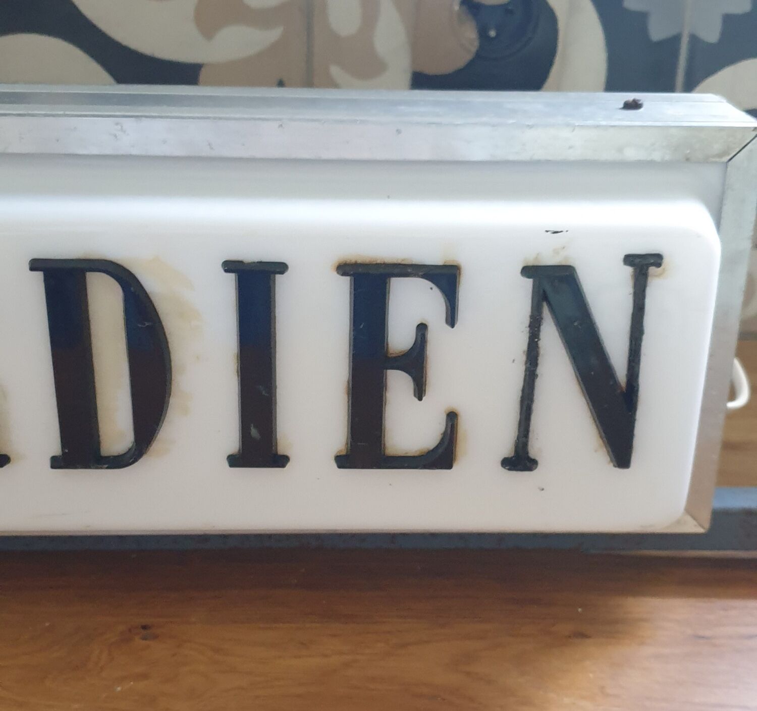 Illuminated panel guardian lodge