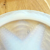 Opalescent sea star table mat